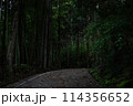 森の奥に伸びる道 114356652