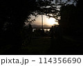 シルエット 114356690