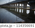 陸橋 114356691