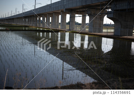 陸橋 陸橋 114356691