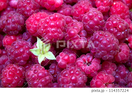 Ripe and beautiful raspberries - texture 114357224