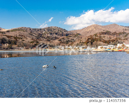 早春の山中湖畔の清涼で美しい景色 114357356