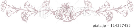カーネーションの罫線のベクターイラスト カーネーションの罫線のベクターイラスト 114357453
