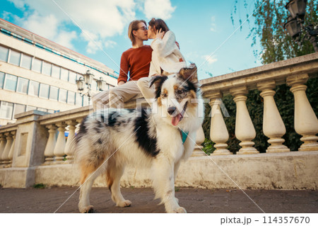 Bottom view of kissing couple sitting on curb. Close up of purebred dog Aussie. Pet training and city walking 114357670