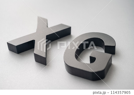 アルファベットブロック アルファベットブロック 114357905