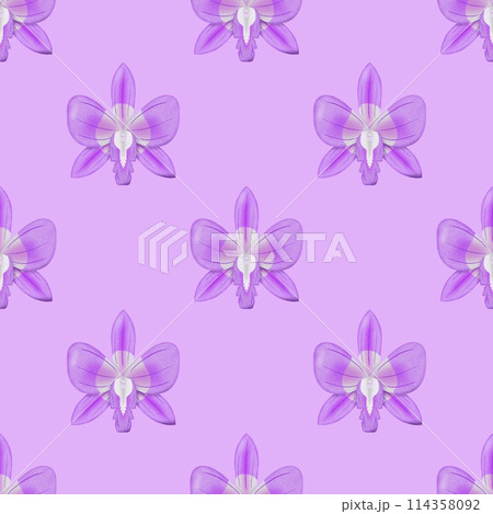 seamless pattern with pink orchid flowers 114358092
