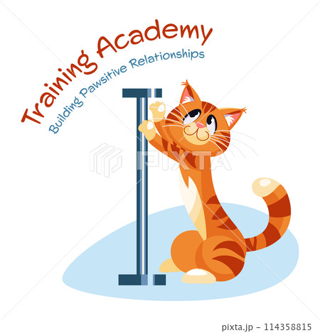Training Academy Webpage Training Academy Webpage 114358815