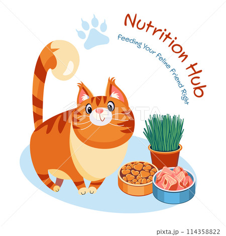 Nutrition Hub Cat Webpage Nutrition Hub Cat Webpage 114358822