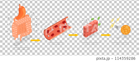 3D Isometric Flat Conceptual Illustration of Functions Of Carbs, Explanation Diagram 3D Isometric Flat Conceptual Illustration of Functions Of Carbs, Explanation Diagram 114359286
