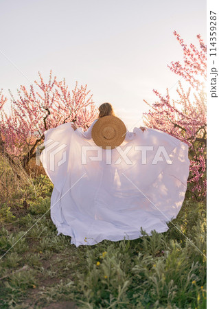 Woman blooming peach orchard. Against the backdrop of a picturesque peach orchard, a woman in a long white dress and hat enjoys a peaceful walk in the park, surrounded by the beauty of nature. Woman blooming peach orchard. Against the backdrop of a picturesque peach orchard, a woman in a long white dress and hat enjoys a peaceful walk in the park, surrounded by the beauty of nature. 114359287