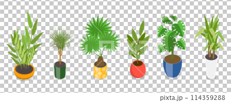 3D Isometric Flat Set of Houseplants, Different Indoor Plants 3D Isometric Flat Set of Houseplants, Different Indoor Plants 114359288