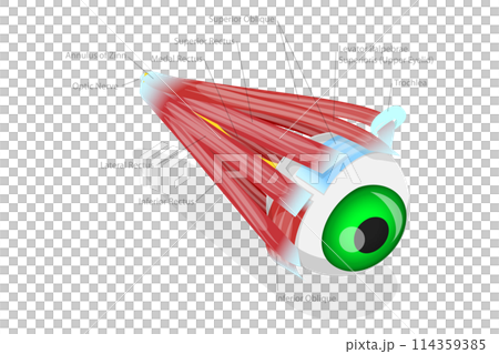 3D Isometric Flat Conceptual Illustration of...のイラスト素材 [114359385] - PIXTA