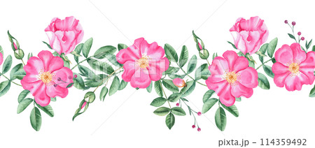 Rose hip horizontal watercolor seamless border pattern. Hand drawn botanical illustration. Dog rose flowers, buds, branches and berries. Can be used for fabric, textile, packaging prints, wallpaper 114359492