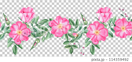 Rose hip horizontal watercolor seamless border pattern. Hand drawn botanical illustration. Dog rose flowers, buds, branches and berries. Can be used for fabric, textile, packaging prints, wallpaper Rose hip horizontal watercolor seamless border pattern. Hand drawn botanical illustration. Dog rose flowers, buds, branches and berries. Can be used for fabric, textile, packaging prints, wallpaper 114359492