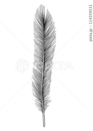 Feathers icon black silhouette hand drawn sketch 114359531