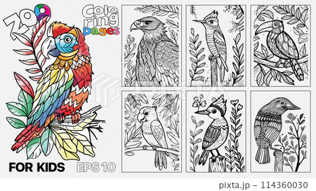A book of children's coloring pages featuring birds. The pages are designed for kids and come in a set of six 114360030