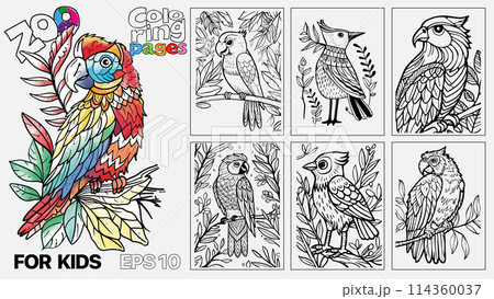 A book of children's coloring pages featuring birds. The pages are designed for kids and come in a set of six 114360037