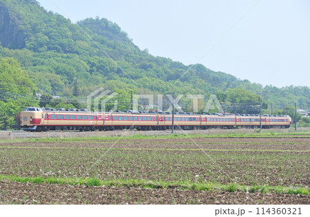 両毛線 岩舟ー佐野 JR東日本 183系 OM101編成(大宮) 足利藤まつり 両毛線 岩舟ー佐野 JR東日本 183系 OM101編成(大宮) 足利藤まつり 114360321