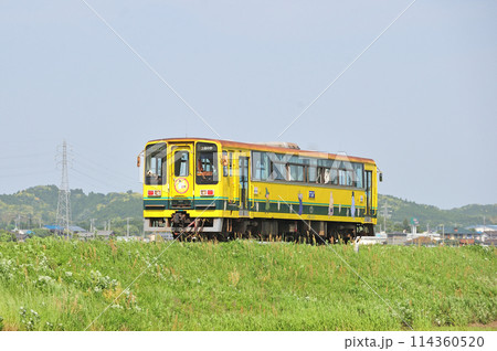 いすみ鉄道 国吉ー上総中川 いすみ203 いすみ鉄道 国吉ー上総中川 いすみ203 114360520