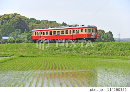 いすみ鉄道 上総中川ー国吉 キハ52-125 いすみ鉄道 上総中川ー国吉 キハ52-125 114360523