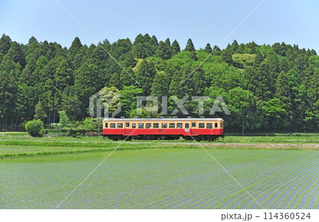 小湊鉄道　上総川間ー上総鶴舞　キハ201 114360524