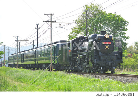 秩父鉄道　小前田ーふかや花園　C58-363＋12系　SLパレオエクスプレス 114360881