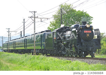 秩父鉄道　小前田ーふかや花園　C58-363＋12系　SLパレオエクスプレス 114360884