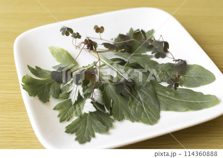 皿にのせた雑草。貧困のイメージ 114360888