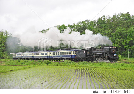 磐越西線　山都ー喜多方　JR東日本　D51-498（高崎）+12系（新津）　D51ばんえつ物語 114361640