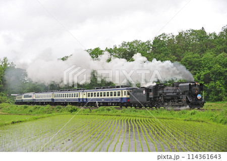 磐越西線　山都ー喜多方　JR東日本　D51-498（高崎）+12系（新津）　D51ばんえつ物語 114361643