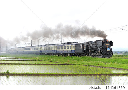 磐越西線　堂島ー会津若松　JR東日本　D51-498（高崎）+12系（新津）　D51ばんえつ物語 114361729