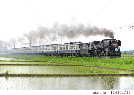 磐越西線　堂島ー会津若松　JR東日本　D51-498（高崎）+12系（新津）　D51ばんえつ物語 114361732