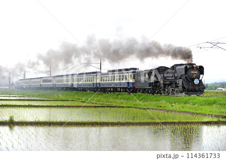 磐越西線 堂島ー会津若松 JR東日本 D51-498(高崎)+12系(新津) D51ばんえつ物語 磐越西線 堂島ー会津若松 JR東日本 D51-498(高崎)+12系(新津) D51ばんえつ物語 114361733