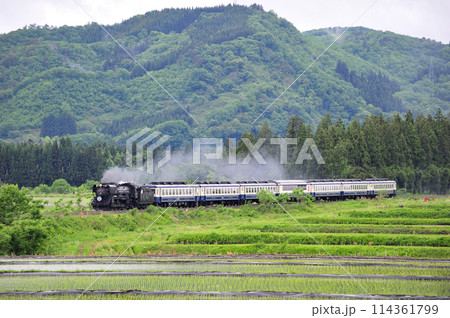 磐越西線　尾登ー野沢　JR東日本　D51-498（高崎）+12系（新津）　D51ばんえつ物語 114361799