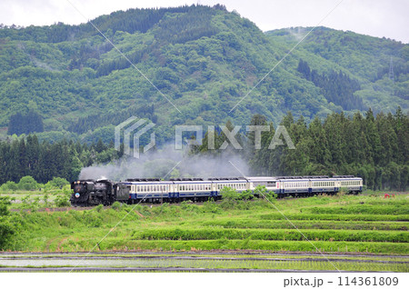 磐越西線　尾登ー野沢　JR東日本　D51-498（高崎）+12系（新津）　D51ばんえつ物語 114361809