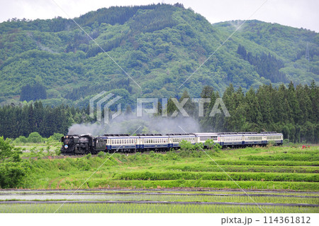 磐越西線　尾登ー野沢　JR東日本　D51-498（高崎）+12系（新津）　D51ばんえつ物語 114361812