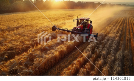 Tractor Driving Through Wheat Field 114361813