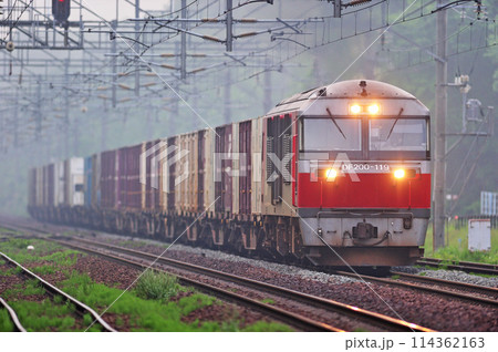 千歳線　北広島ー上野幌　JR貨物　DF200-119（鷲別） 114362163