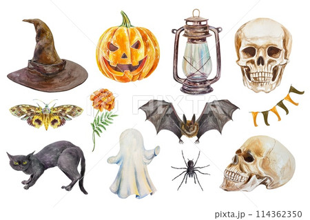Halloween set. Pumpkin, skull, ghost, witch hat, bat, cat, lamp, spider, moth. Watercolor illustration on white background. Cards, invitations, covers 114362350