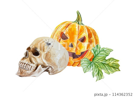 Human skull, spider, Halloween pumpkin, leaf. Hand drawn watercolor illustration isolated on white background. For cards, invitations, flyers, banners 114362352