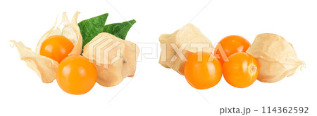 Cape gooseberry or physalis isolated on white background wit full depth of field 114362592