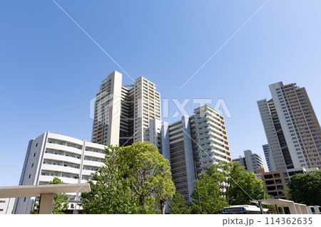 柏の葉キャンパス駅東口の風景<2024年5月/千葉県柏市> 柏の葉キャンパス駅東口の風景<2024年5月/千葉県柏市> 114362635