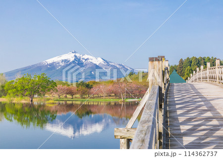 「青森県」快晴の青空と鶴の舞橋 日本一長い木造三連太鼓橋 「青森県」快晴の青空と鶴の舞橋 日本一長い木造三連太鼓橋 114362737