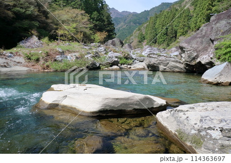 瀬戸川の憩いの広場を眺める　春　（高知県　土佐町　川奈路渓谷） 114363697