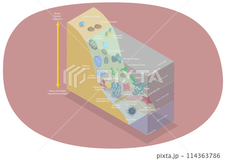 3D Isometric Flat Conceptual Illustration of Scheme With Spray And Tidal Zones Axis , Lake Ecosystem 3D Isometric Flat Conceptual Illustration of Scheme With Spray And Tidal Zones Axis , Lake Ecosystem 114363786