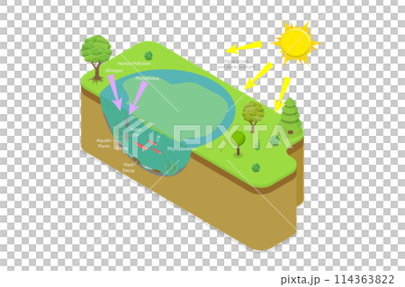 3D Isometric Flat  Conceptual Illustration of Eutrophication, Euphotic Zone 114363822
