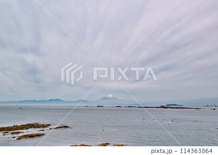 神奈川県逗子 曇り空真名瀬海岸から富士山と鳥居と灯台の風景 114363864