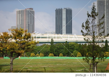 辰巳の森海浜公園の風景（東京都江東区） 114364036
