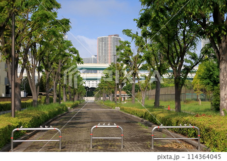 辰巳の森海浜公園の風景(東京都江東区) 辰巳の森海浜公園の風景(東京都江東区) 114364045