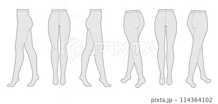 Set of Tights Pantyhose on legs, normal waist length. Fashion accessory clothing technical illustration stocking. Vector Set of Tights Pantyhose on legs, normal waist length. Fashion accessory clothing technical illustration stocking. Vector 114364102